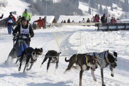Lenk 2012 SM